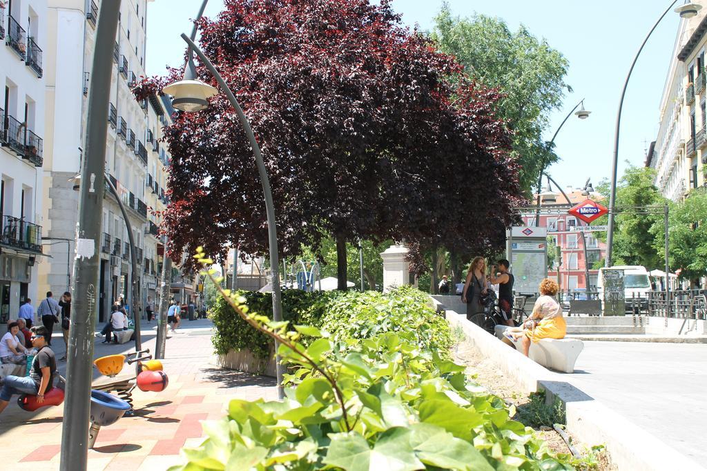 Hostal Graciela Madrid Bagian luar foto